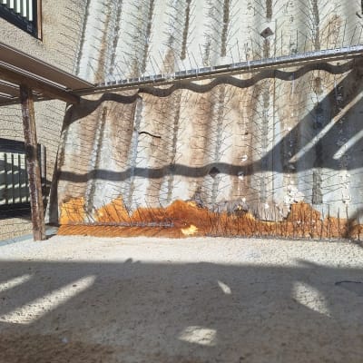 דוקרנים למניעת יונים על קיר חיצוני עם חלודה