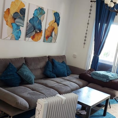 סלון עם ספה, כריות, רדיאטור ותמונות קיר צבעוניות