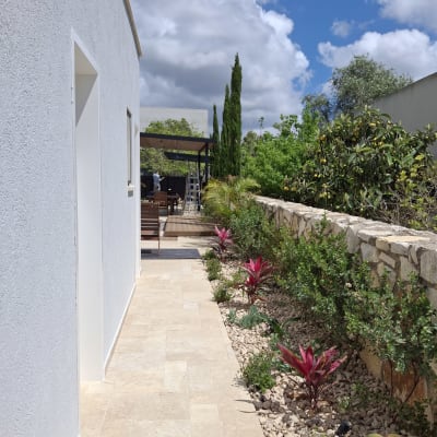 שיחים ופרחים בגינה לצד שביל מרוצף