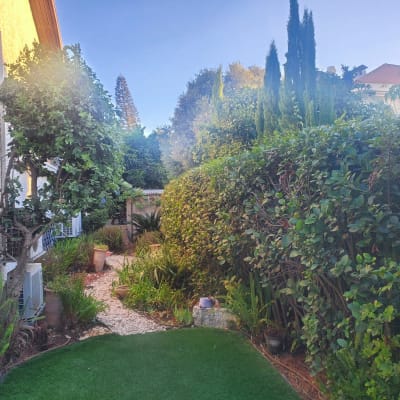 שביל אבנים בגינה עם עציצים וצמחים ירוקים