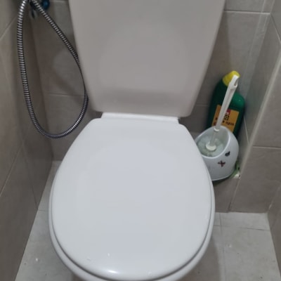 אסלה עם מברשת ניקוי ומיכל נוזל ניקוי