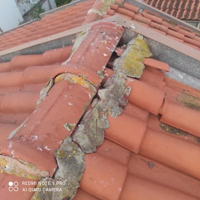 רעפים שבורים עם טחב על גג רעפים אדום