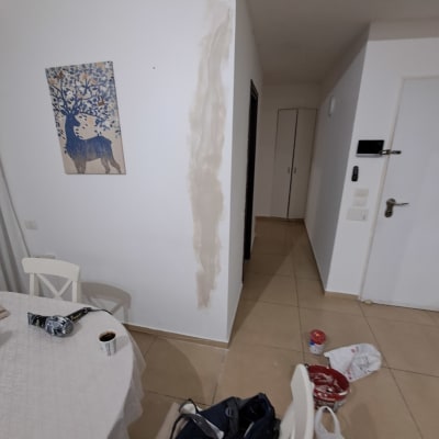 קיר עם תיקוני צבע ליד ציור של אייל