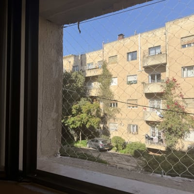 רשת יונים מותקנת על חלון למניעת כניסת יונים