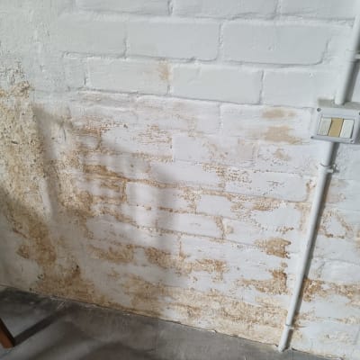 קיר עם סימני רטיבות ועובש, שקע חשמל בצד