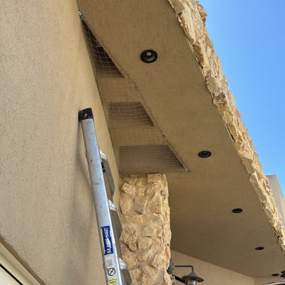 סולם ליד קיר עם רשת למניעת יונים