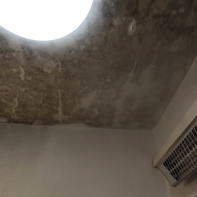 תקרה עם כתמי רטיבות ועובש