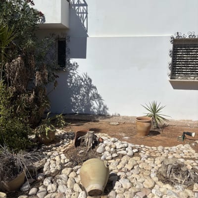 קיר חיצוני צבוע בלבן של בית פרטי לצד חצר מעוצבת