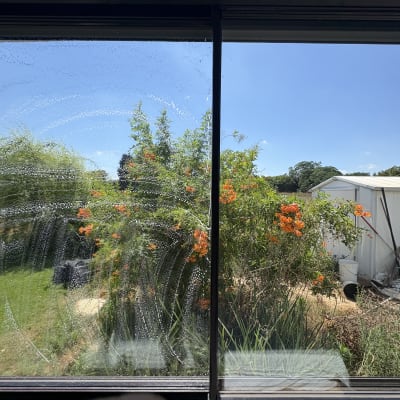 חלון עם סימני ניקוי ונוף גינה בחוץ