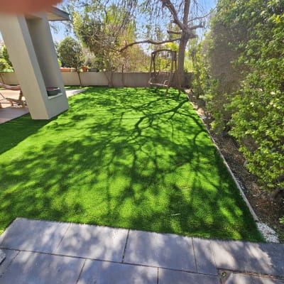 דשא ירוק ועצים בגינה פרטית