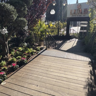 שביל עץ עם צמחים ופרחים בצדדים