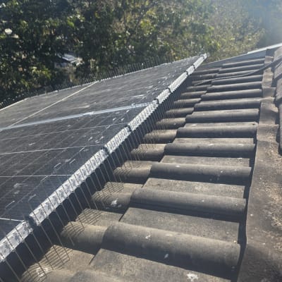 מערכת דוקרנים על גג למניעת יונים