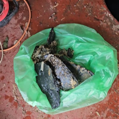 שקית ירוקה עם חפצים כהים על רצפה אדומה