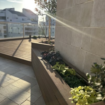 אדניות עץ עם צמחים על מרפסת מוארת בשמש