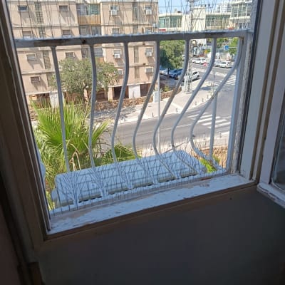 סורגים עם דוקרנים למניעת כניסת יונים