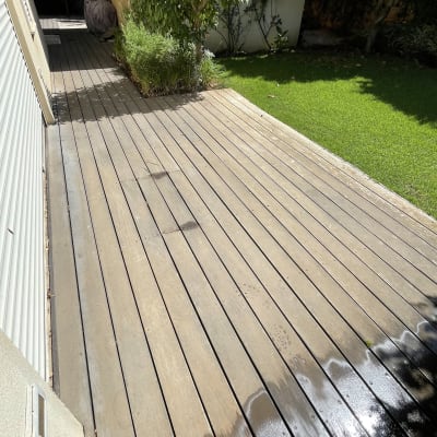 דק עץ בגינה עם צמחייה ירוקה ועץ קטן