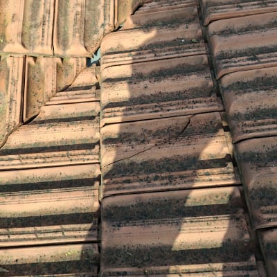 רעפים שבורים על גג עם צל של אדם