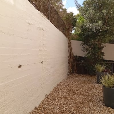 עציצים עם צמחים על חצץ ליד קיר לבן