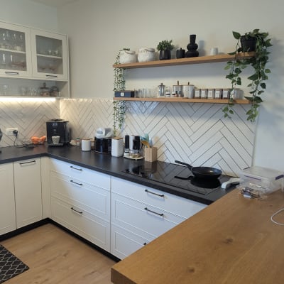 מטבח מודרני עם מדפים, צמחים וכלים.