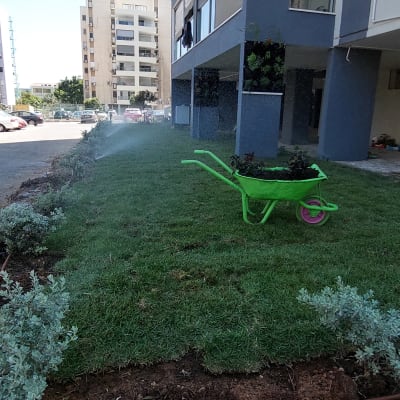 מריצה ירוקה עם צמחים על דשא מושקה