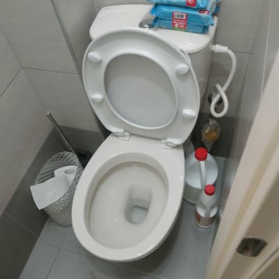 אסלה עם חומרי ניקוי ומגבונים לחים על מכסה המיכל