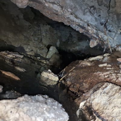 סלעים ומים בתוך מערה