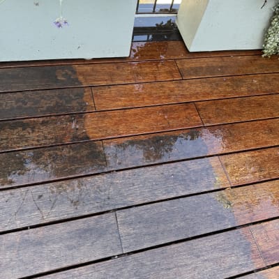 רצפת עץ רטובה ליד עציצים גדולים