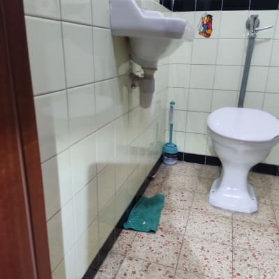 כיור עם צינור ניקוז, שירותים ומברשת ניקוי