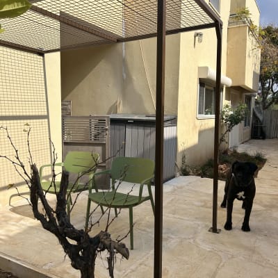 מסגרת מתכת עם רשת מעל פינת ישיבה