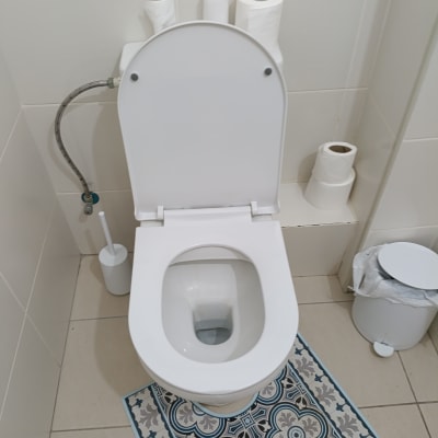 אסלה עם נייר טואלט ומברשת ניקוי בשירותים