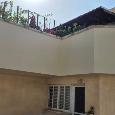 מרפסת עם צמחייה על גג מבנה