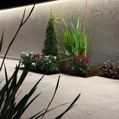 צמחים ופרחים בגינה מוארת בלילה