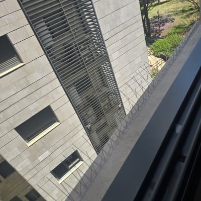קוצים למניעת יונים על אדן חלון בבניין