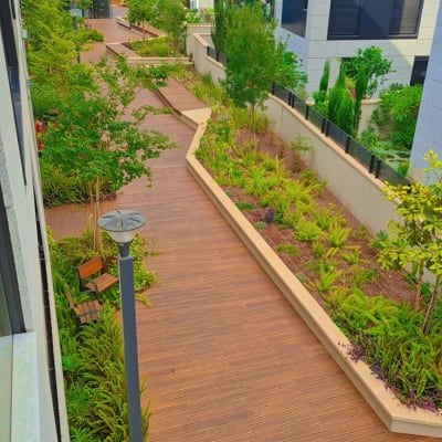 שביל עץ עם צמחייה בין בניינים מודרניים