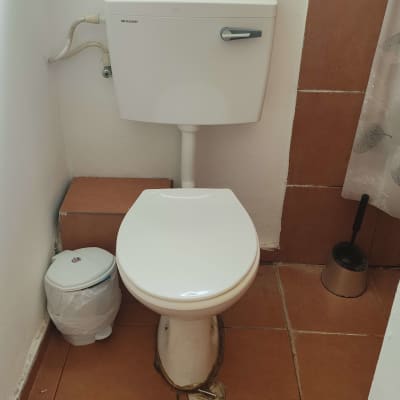 אסלה עם מיכל הדחה ומברשת ניקוי