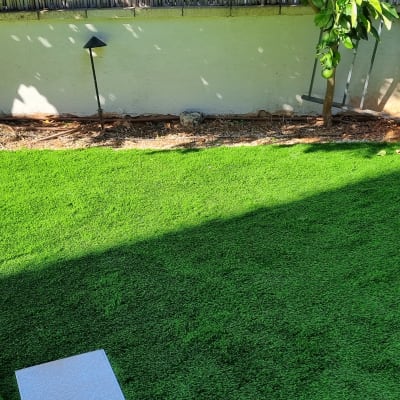 דשא סינתטי עם עצים וכלי גינון