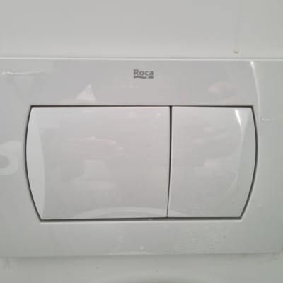 לחצן הדחה כפול של אסלה מותקן על קיר