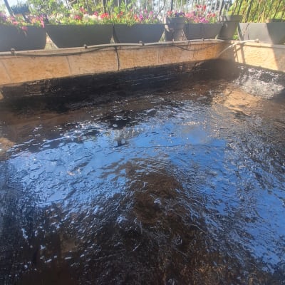 שכבת איטום על קיר עם צמחייה ברקע