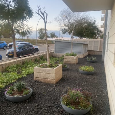 עציצים עגולים עם צמחים על אדמה כהה