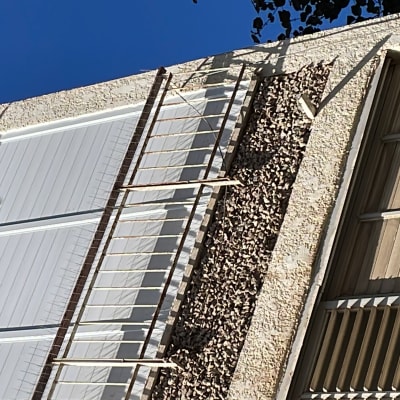 רשת למניעת יונים מותקנת על קיר בניין