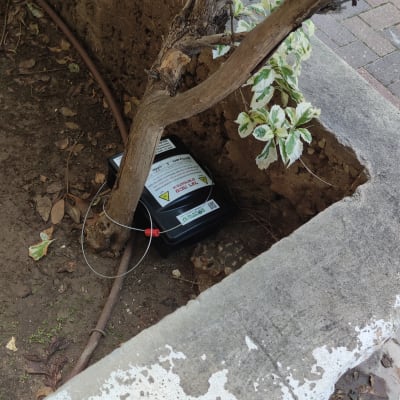 תיבת הדברה שחורה ליד עץ קטן