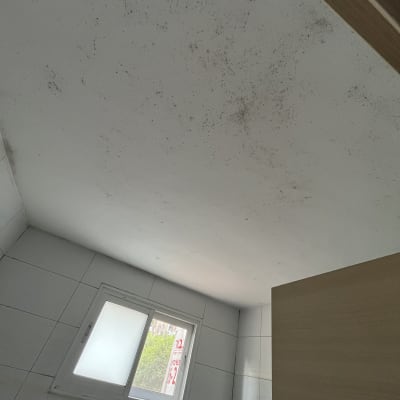 תקרה עם כתמי עובש ליד חלון קטן