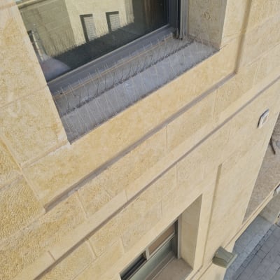 דוקרנים על אדן חלון למניעת נחיתת יונים