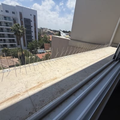 דוקרנים על אדן חלון עם נוף עירוני