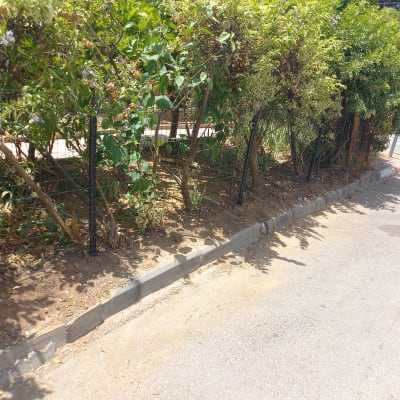 גדר מתכת שחורה עם שיחים ירוקים בצד הדרך