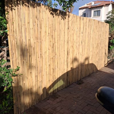 גדר במבוק ליד שביל מרוצף