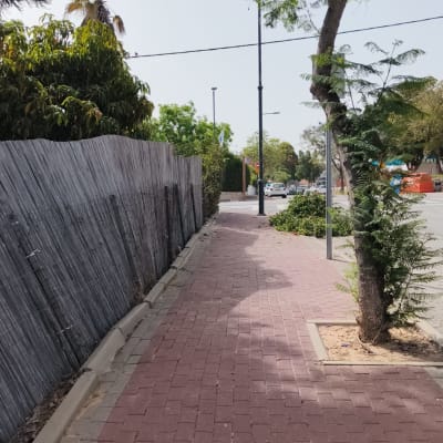 שביל מרוצף עם עצים וגדר עץ בצד