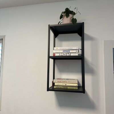 מדף מתכת שחור עם ספרים ועציץ