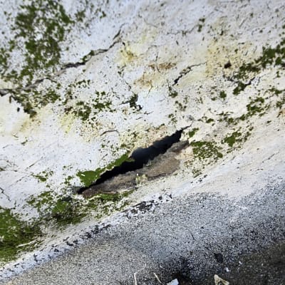 סדק בקיר עם סימני רטיבות ועובש