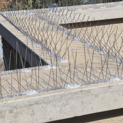 התקנת דוקרנים נגד יונים על מעקה אבן חיצוני